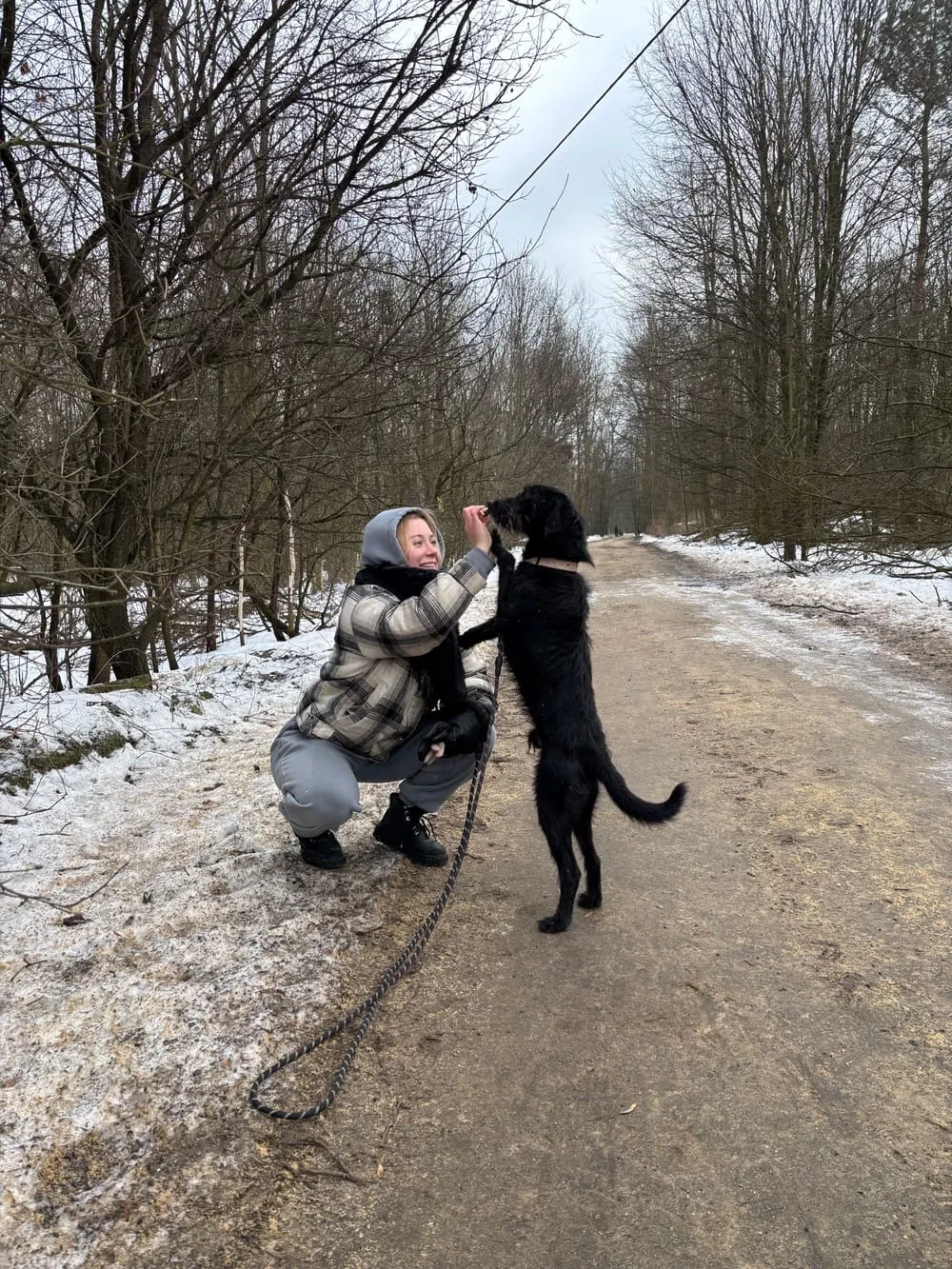 Pies podczas pracy behawioralnej